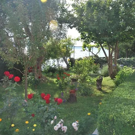 Apartment Punta